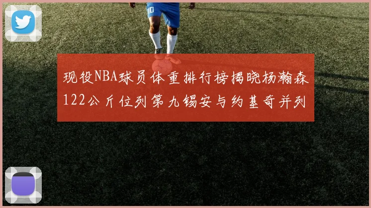现役NBA球员体重排行榜揭晓杨瀚森122公斤位列第九锡安与约基奇并列第三