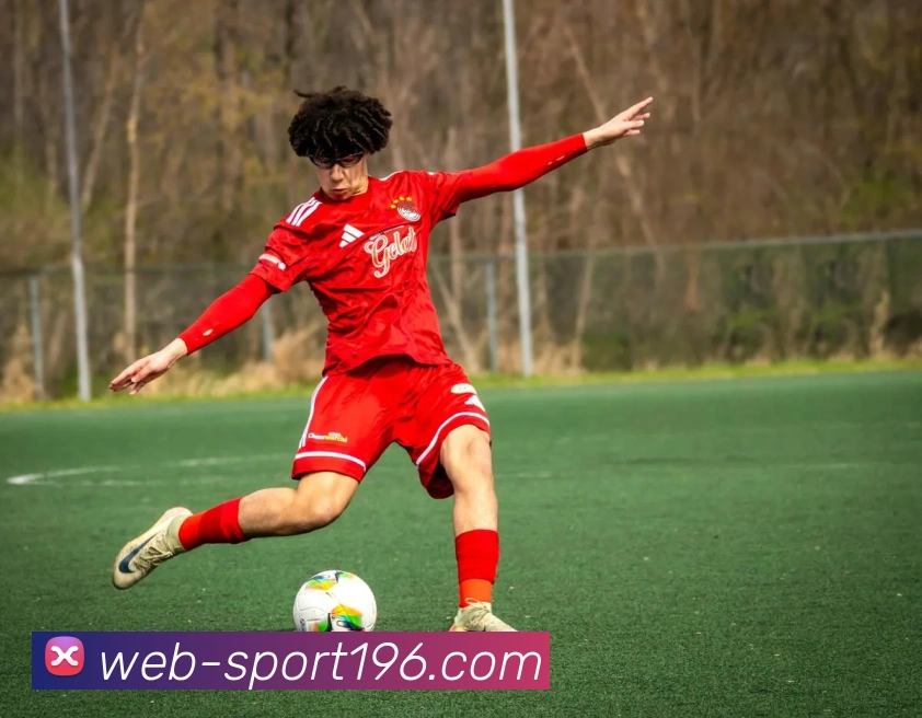 196体育平台生态图