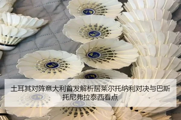 土耳其对阵意大利首发解析居莱尔托纳利对决与巴斯托尼弗拉泰西看点